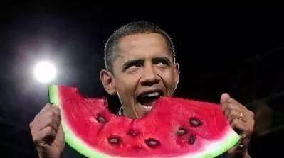 热点吃瓜 今日黑料张警官,热点吃瓜背后的真相揭秘